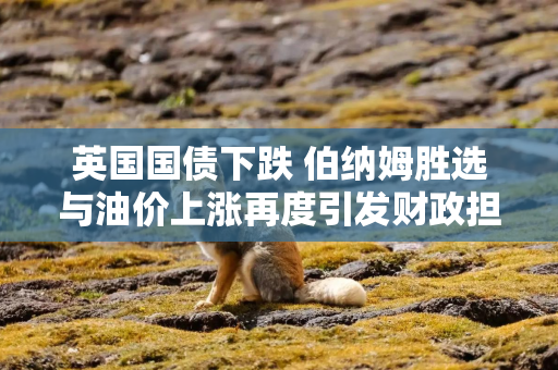 英国国债下跌 伯纳姆胜选与油价上涨再度引发财政担忧