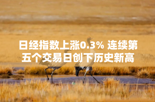 日经指数上涨0.3% 连续第五个交易日创下历史新高 日经指数上涨0.3% 连续第五个交易日创下历史新高