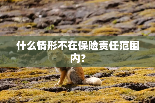 什么情形不在保险责任范围内？