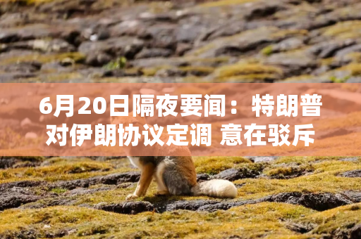6月20日隔夜要闻：特朗普对伊朗协议定调 意在驳斥美国失败论 油价上涨 美伊核谈遇阻且油轮通行放缓