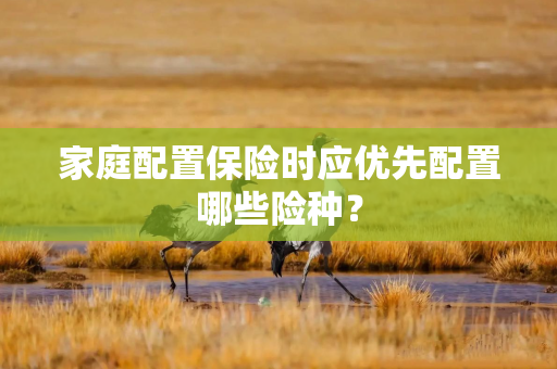 家庭配置保险时应优先配置哪些险种？