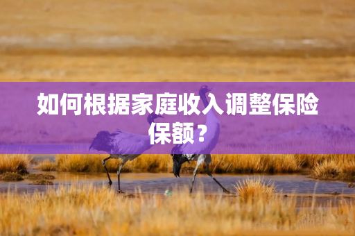 如何根据家庭收入调整保险保额？