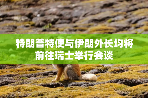 特朗普特使与伊朗外长均将前往瑞士举行会谈