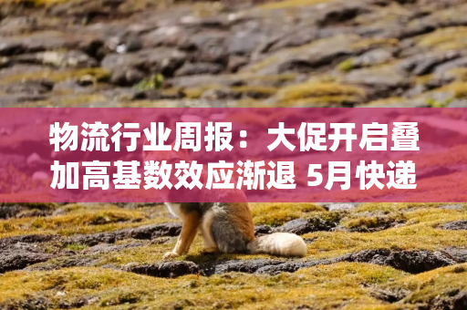 物流行业周报：大促开启叠加高基数效应渐退 5月快递增速回到6%