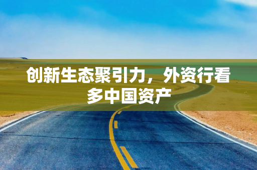 创新生态聚引力，外资行看多中国资产