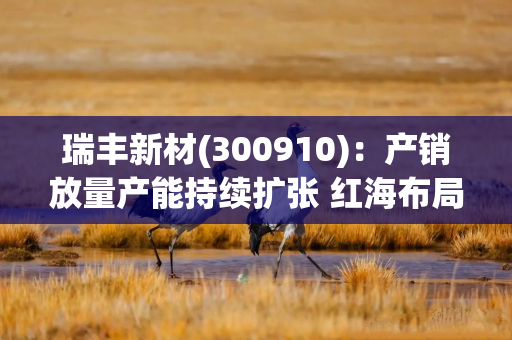 瑞丰新材(300910)：产销放量产能持续扩张 红海布局加速海外成长