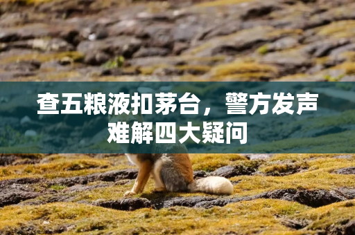 查五粮液扣茅台，警方发声难解四大疑问