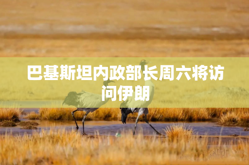 巴基斯坦内政部长周六将访问伊朗