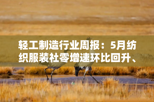 轻工制造行业周报：5月纺织服装社零增速环比回升、金银珠宝降幅收窄