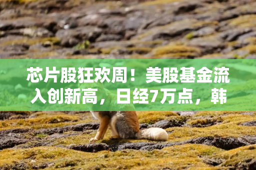 芯片股狂欢周!美股基金流入创新高,日经7万点,韩股一年涨两倍 芯片股狂欢周!美股基金流入创新高,日经7万点,韩股一年涨两倍