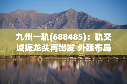 九州一轨(688485)：轨交减振龙头再出发 外延布局硅光高景气赛道