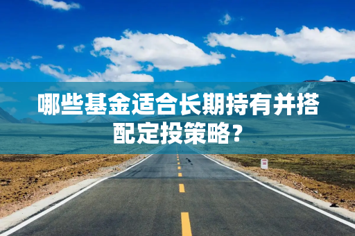 哪些基金适合长期持有并搭配定投策略？