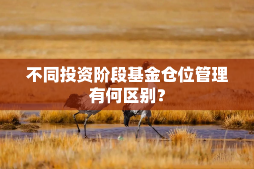 不同投资阶段基金仓位管理有何区别？