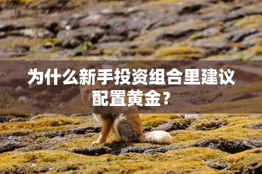 为什么新手投资组合里建议配置黄金？