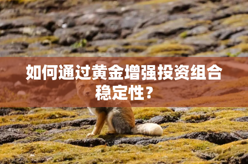 如何通过黄金增强投资组合稳定性？