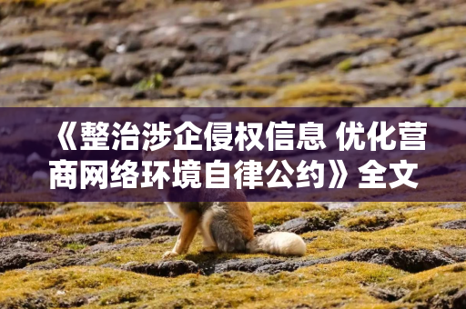 《整治涉企侵权信息 优化营商网络环境自律公约》全文发布