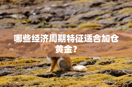 哪些经济周期特征适合加仓黄金？
