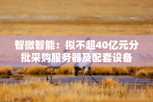 智微智能:拟不超40亿元分批采购服务器及配套设备 智微智能:拟不超40亿元分批采购服务器及配套设备