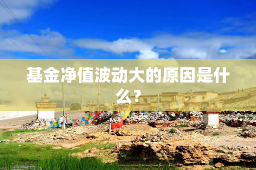 基金净值波动大的原因是什么？