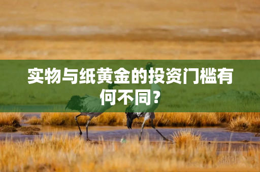 实物与纸黄金的投资门槛有何不同？
