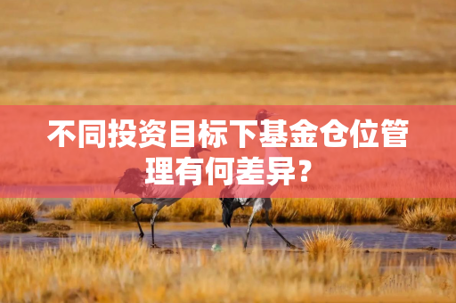 不同投资目标下基金仓位管理有何差异？