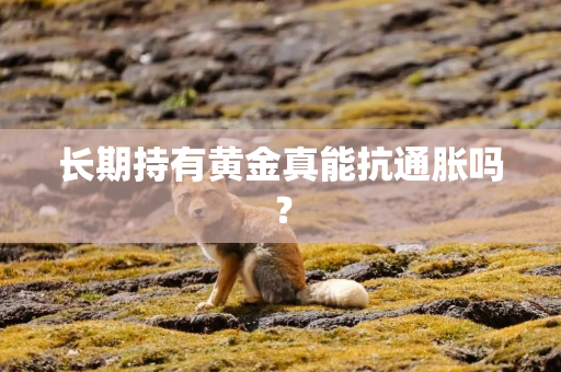长期持有黄金真能抗通胀吗？