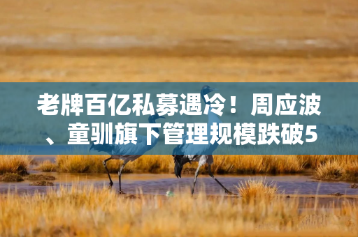 老牌百亿私募遇冷！周应波、童驯旗下管理规模跌破50亿元，量化新贵成行业扩容主力