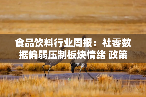 食品饮料行业周报：社零数据偏弱压制板块情绪 政策托底筑牢消费修复基底