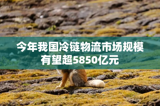 今年我国冷链物流市场规模有望超5850亿元