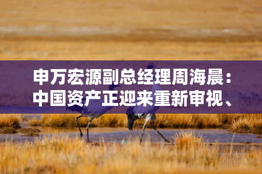 申万宏源副总经理周海晨：中国资产正迎来重新审视、重新定价、重新配置的战略期