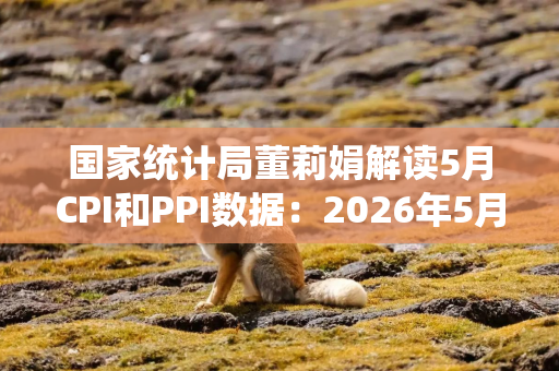 国家统计局董莉娟解读5月CPI和PPI数据：2026年5月份CPI总体平稳 PPI继续上涨