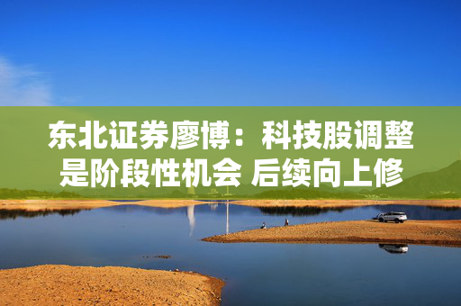 东北证券廖博：科技股调整是阶段性机会 后续向上修复可期