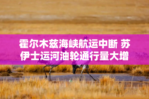 霍尔木兹海峡航运中断 苏伊士运河油轮通行量大增 霍尔木兹海峡航运中断 苏伊士运河油轮通行量大增