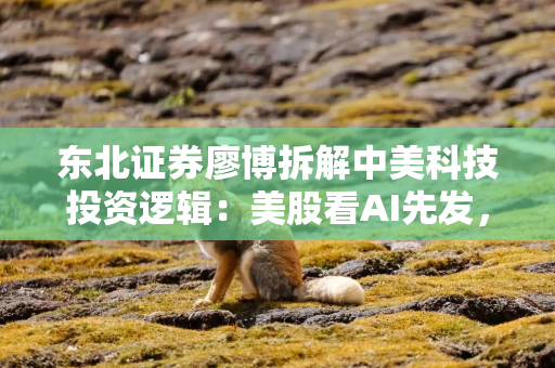 东北证券廖博拆解中美科技投资逻辑：美股看AI先发，A股看替代与全球配套