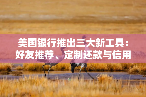 美国银行推出三大新工具：好友推荐、定制还款与信用追踪