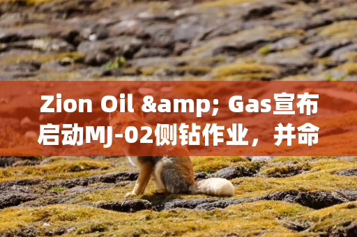 Zion Oil & Gas宣布启动MJ-02侧钻作业，并命名钻机致敬创始人