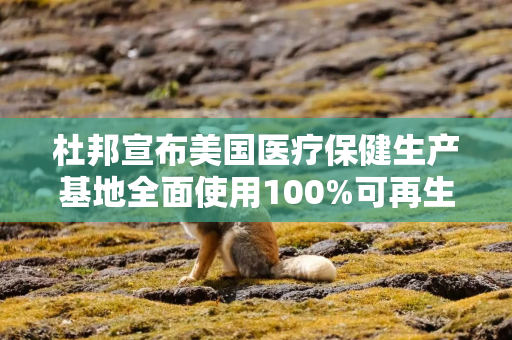 杜邦宣布美国医疗保健生产基地全面使用100%可再生电力