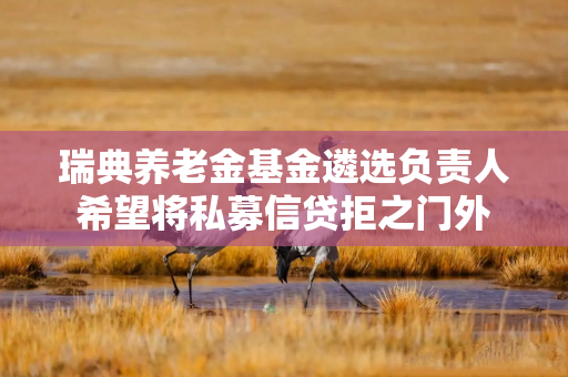 瑞典养老金基金遴选负责人希望将私募信贷拒之门外