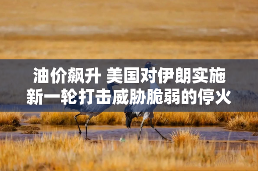 油价飙升 美国对伊朗实施新一轮打击威胁脆弱的停火协议