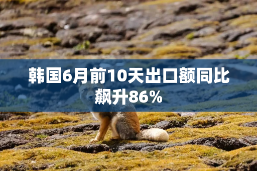 韩国6月前10天出口额同比飙升86%