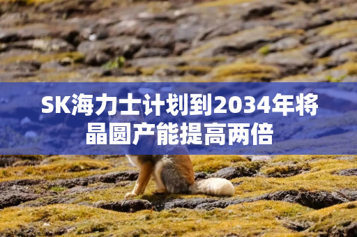 SK海力士计划到2034年将晶圆产能提高两倍