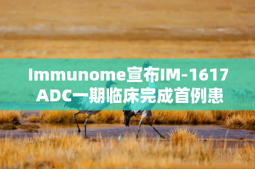 Immunome宣布IM-1617 ADC一期临床完成首例患者给药