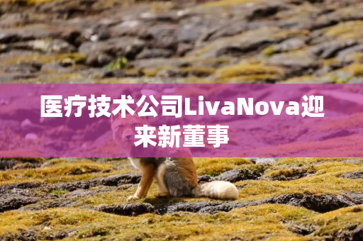 医疗技术公司LivaNova迎来新董事 医疗技术公司LivaNova迎来新董事