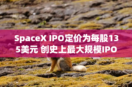 SpaceX IPO定价为每股135美元 创史上最大规模IPO SpaceX IPO定价为每股135美元 创史上最大规模IPO