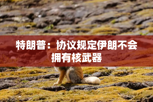 特朗普：协议规定伊朗不会拥有核武器