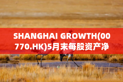 SHANGHAI GROWTH(00770.HK)5月末每股资产净值为0.05美元 SHANGHAI GROWTH(00770.HK)5月末每股资产净值为0.05美元