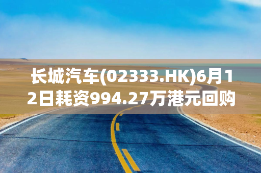 长城汽车(02333.HK)6月12日耗资994.27万港元回购94万股