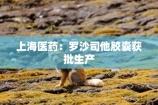上海医药：罗沙司他胶囊获批生产