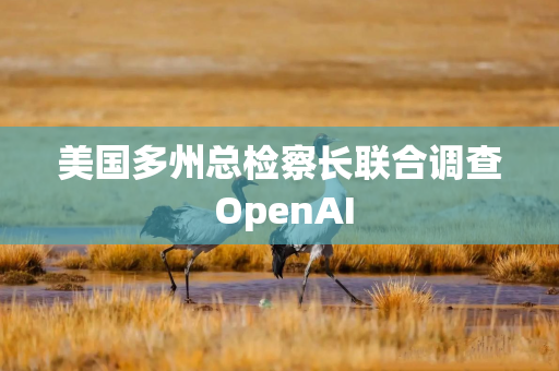 美国多州总检察长联合调查 OpenAI