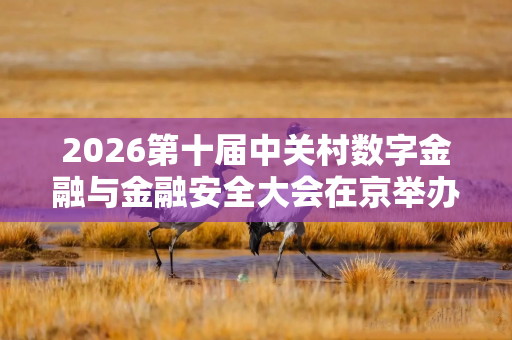 2026第十届中关村数字金融与金融安全大会在京举办